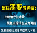 CCTV13《新闻直播间》  生物细胞免疫  肿瘤治疗新选择